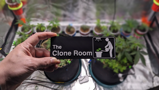 The Clone Room