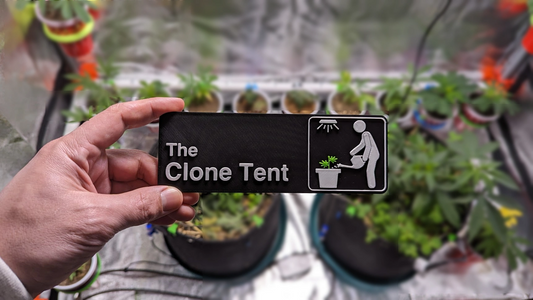 The Clone Tent